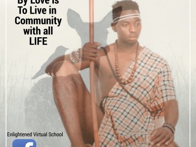 Enlightened Virtual School Startup Funding