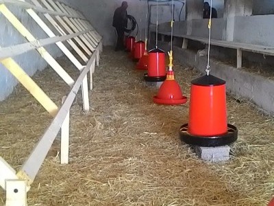 My Agrobusiness startup funding
