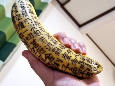 Practising for an Art gallery