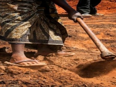 Helping Poor farmers