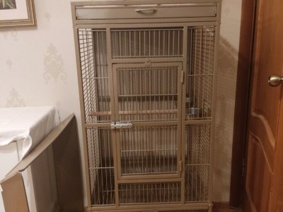 Pearls cage :D