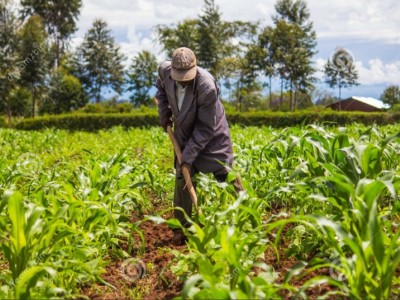 Financement d'un projet agricole