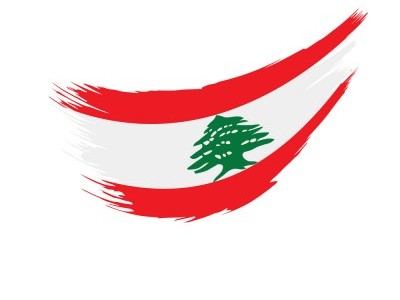 Help my family get out from my trash country