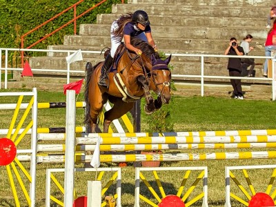 Help me buy off my old horse and soulmate
