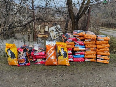 Help the animal shelter survive the war!
