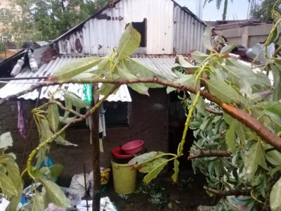 Help us to Build our house again