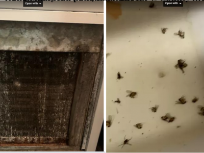 Help Barbara out of MOLD, and CRACK APARTMENT
