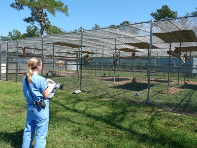 ANIMALS CENTER HOSPITAL