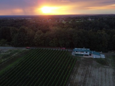 Vineyard expansion