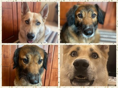 Please bring us Home ❤️