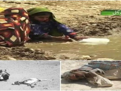 People need water in prikoh