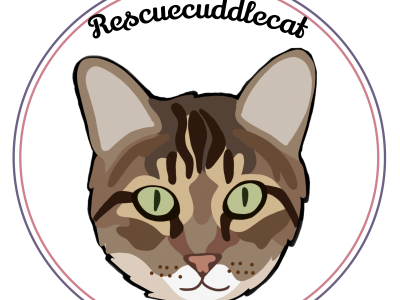 Funds needed for cat & kitten food