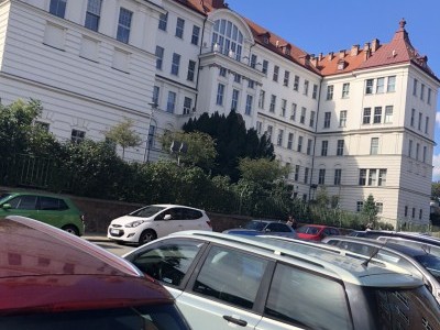 Help Polina to get her education done