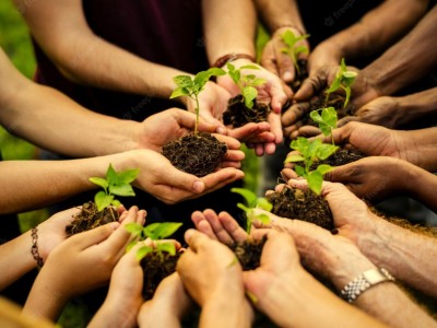 Planting trees for our mother nature