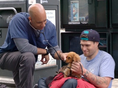 The Street Vet