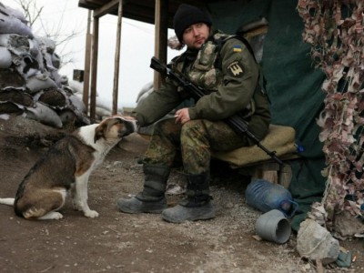 Save pets/ animals (Ukraine)