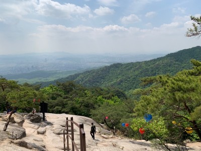 help me with my tuition in seoul