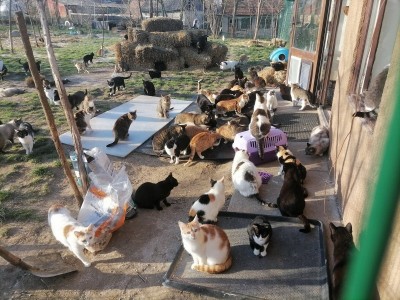 A new home for this beautiful souls.