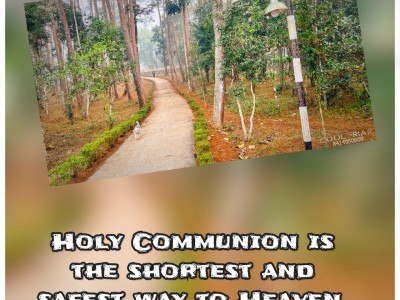 New converted