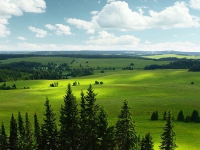 Save the world, Make everything Green Again
