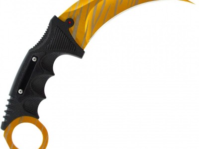 Csgo Tiger tooth karambit