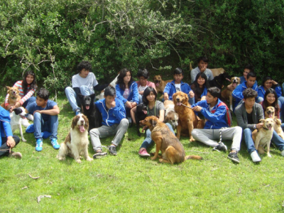 Aulla:Join our work, the sanctuary needs you