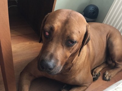 Need lifesaving urgent surgery