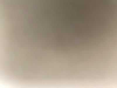 حيونات الشارع
