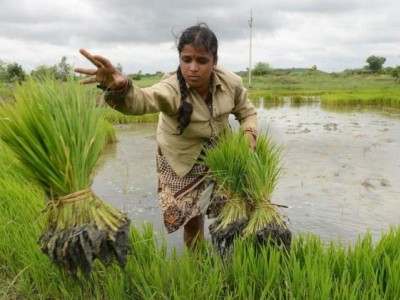Start Modern Farming