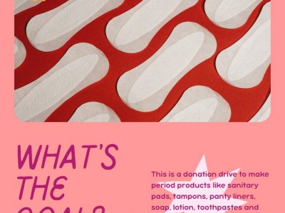 Lady Bliss Menstrual And Hygiene Care