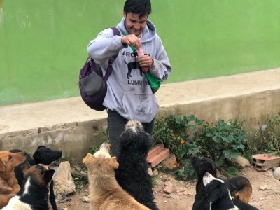 Por los perritos de calle [for street dogs]