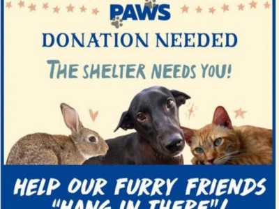 Donate A dollar save a life of these animals.