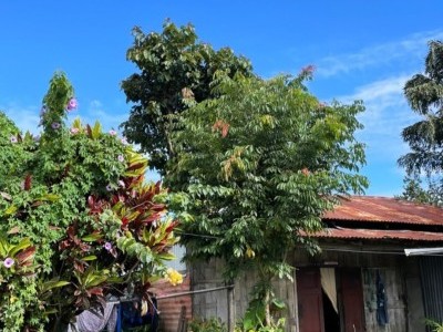 please save my father ancesters house