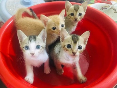Need money for this baby's food