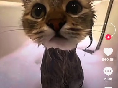 I want a present?