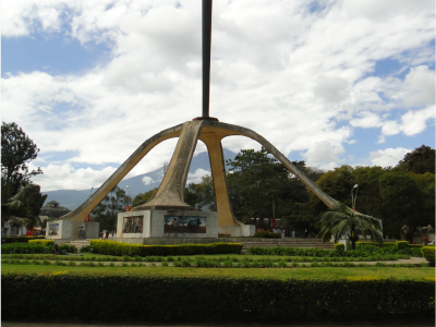 Make Arusha and Kilimanjaro green Again