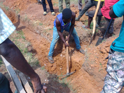 Lets plant trees for a better living