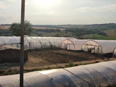 Restoration of agriculture in Ukraine