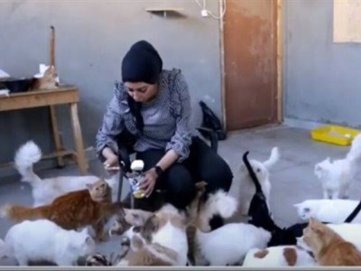 Animal care home