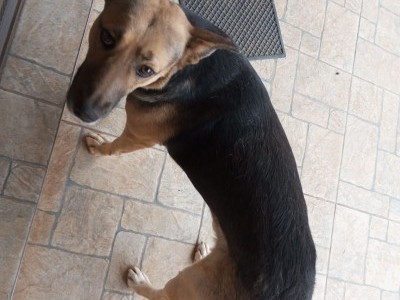 Help Clipper