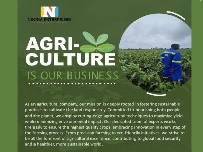 Nsona Enterprises Business Opportunity