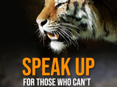 Save the animal cruelty