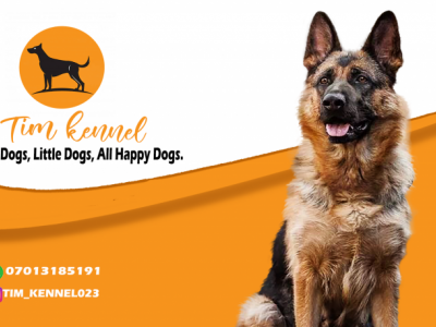 Breeding dogs and finding them a new home.
