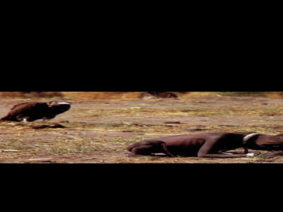 Ajude a fome na Africa