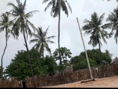 Food Donations for People in Bafagir Village