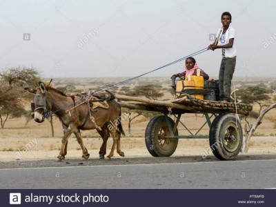 طلب دعم