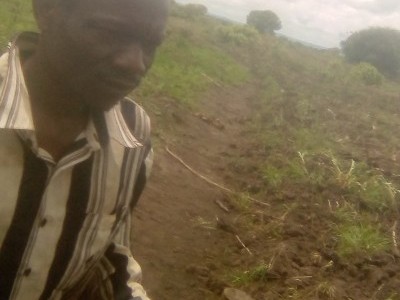 AM Preparing garden to plant bananas