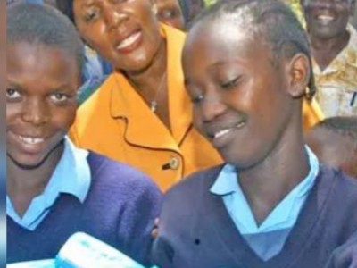 Help replace holes with sanitary towels