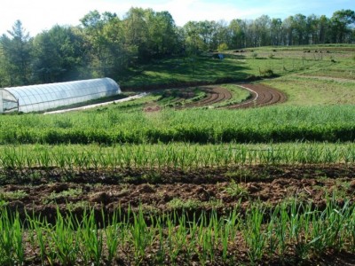 Sustainable agriculture and piggery