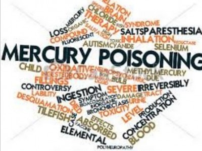 Research to Mercury and its contamints